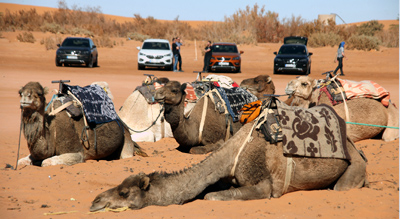 Fast nur Sand