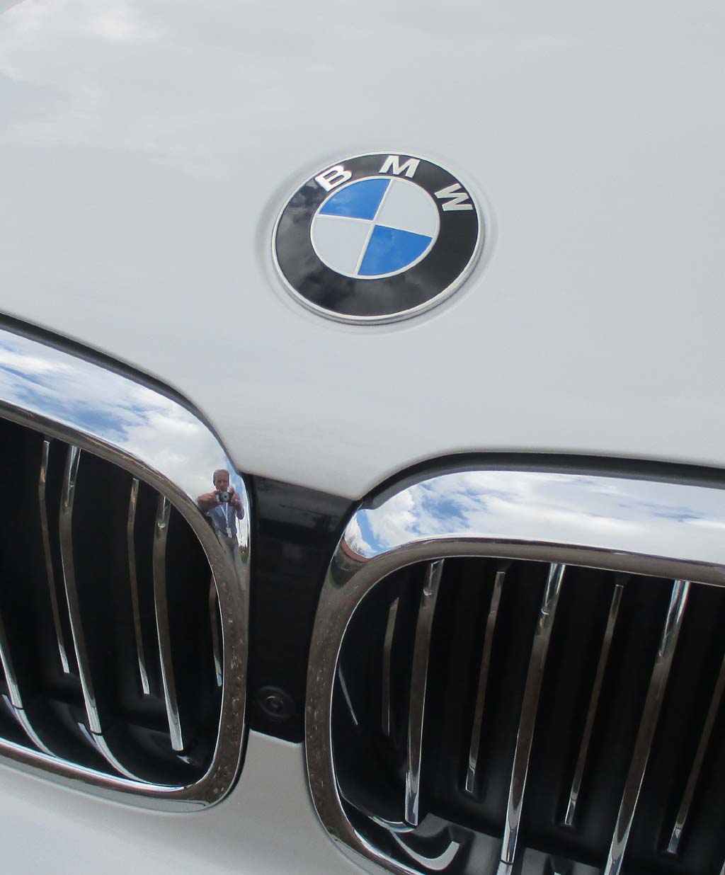 BMW 5er-Touring: Das Markenlogo sitzt vorn über dem Doppelnieren-Kühlergrill.