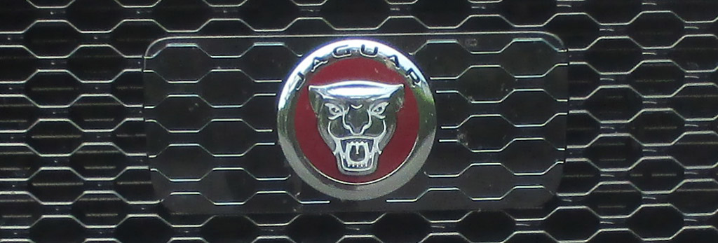 Jaguar XE: Das Markenemblem, die Raubkatze, sitzt vorn im Kühlergrill.