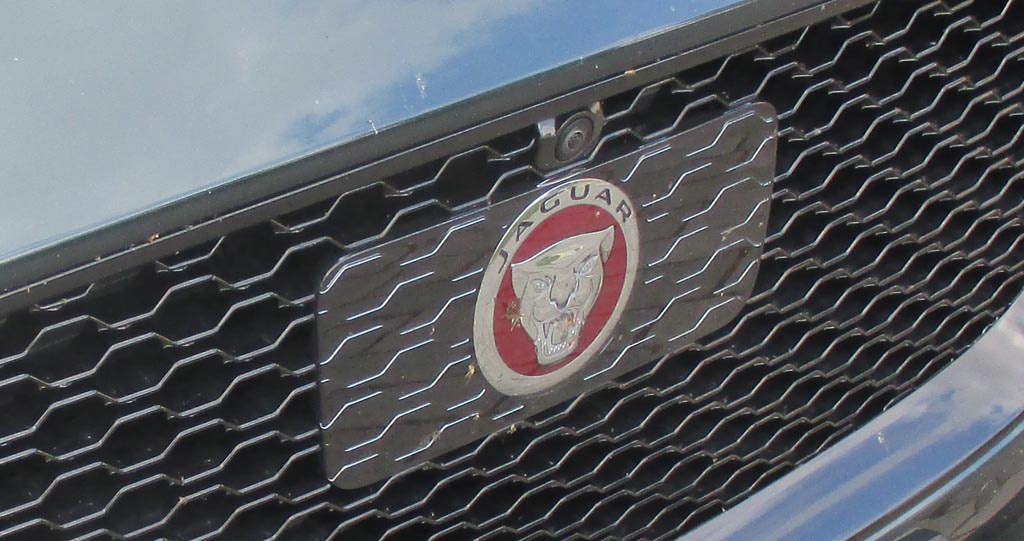 Jaguar XF: Das Markenemblem, die Raubkatze, sitzt vorn im Kühlergrill.