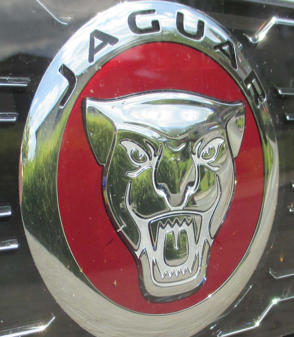Jaguar XJ: Das Markenlogo, die Raubkatze, sitzt vorn im Kühlergrill.
