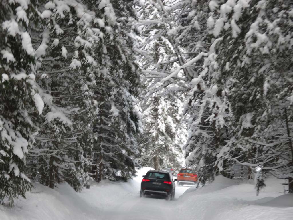 Seat Ateca: Fast 20 Kilometer geht es durch winterliche Wälder.