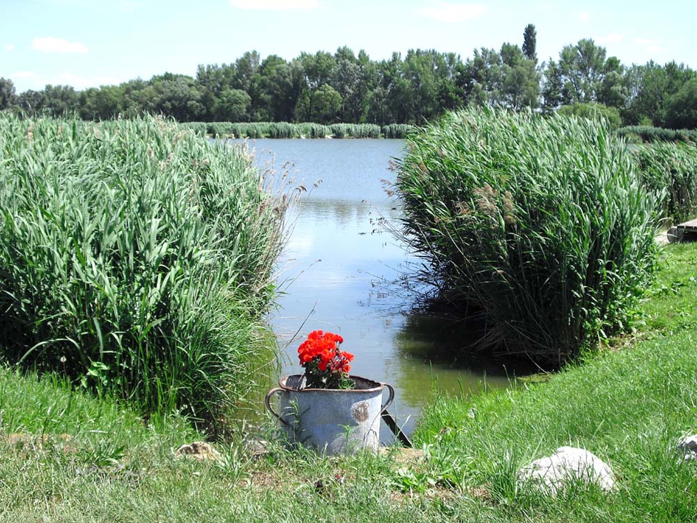 Idyllischer See bei Kincsesbánya im Nordwesten Ungarns.
