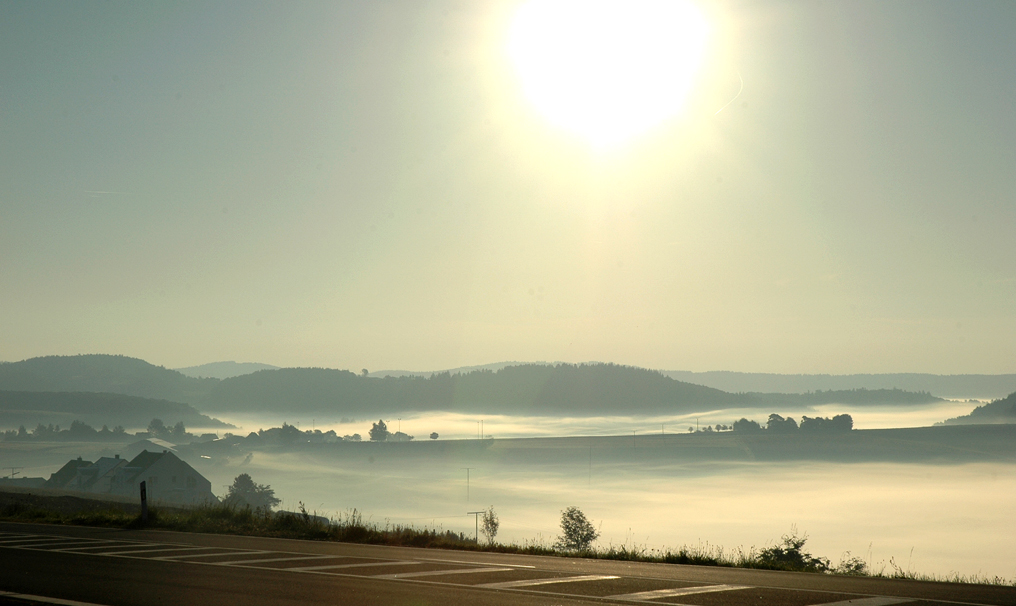 Mystische Hocheifel-Stimmung in der Nähe des Nürburgrings.