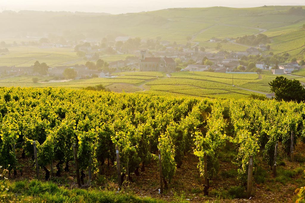 Burgund I: Die Region ist auch für ihre Weinbaugebiete bekannt. Fotos: Atour France/Privat
