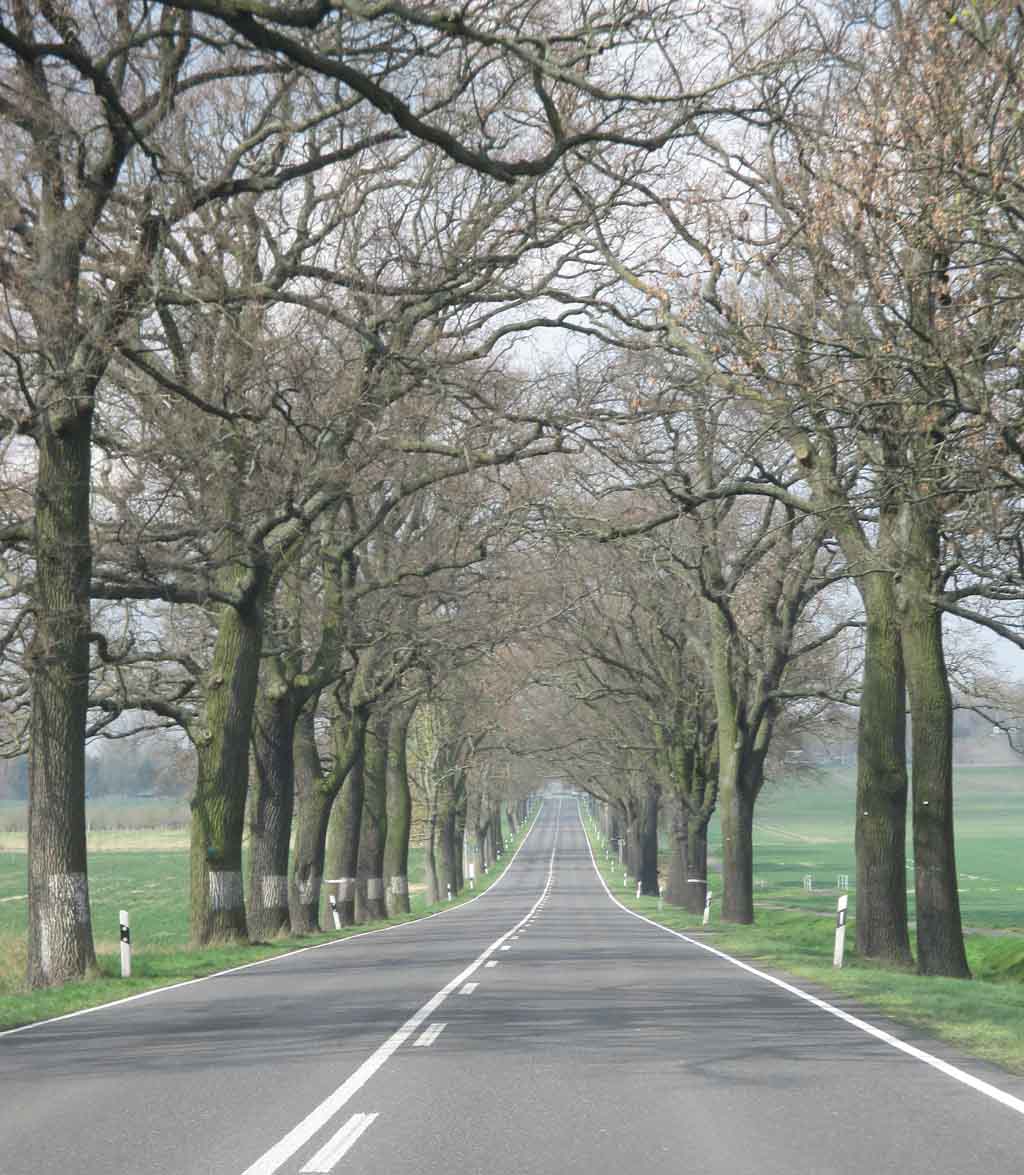 Alleen, hier Anfang April noch ohne Grün, prägen die Landschaft.