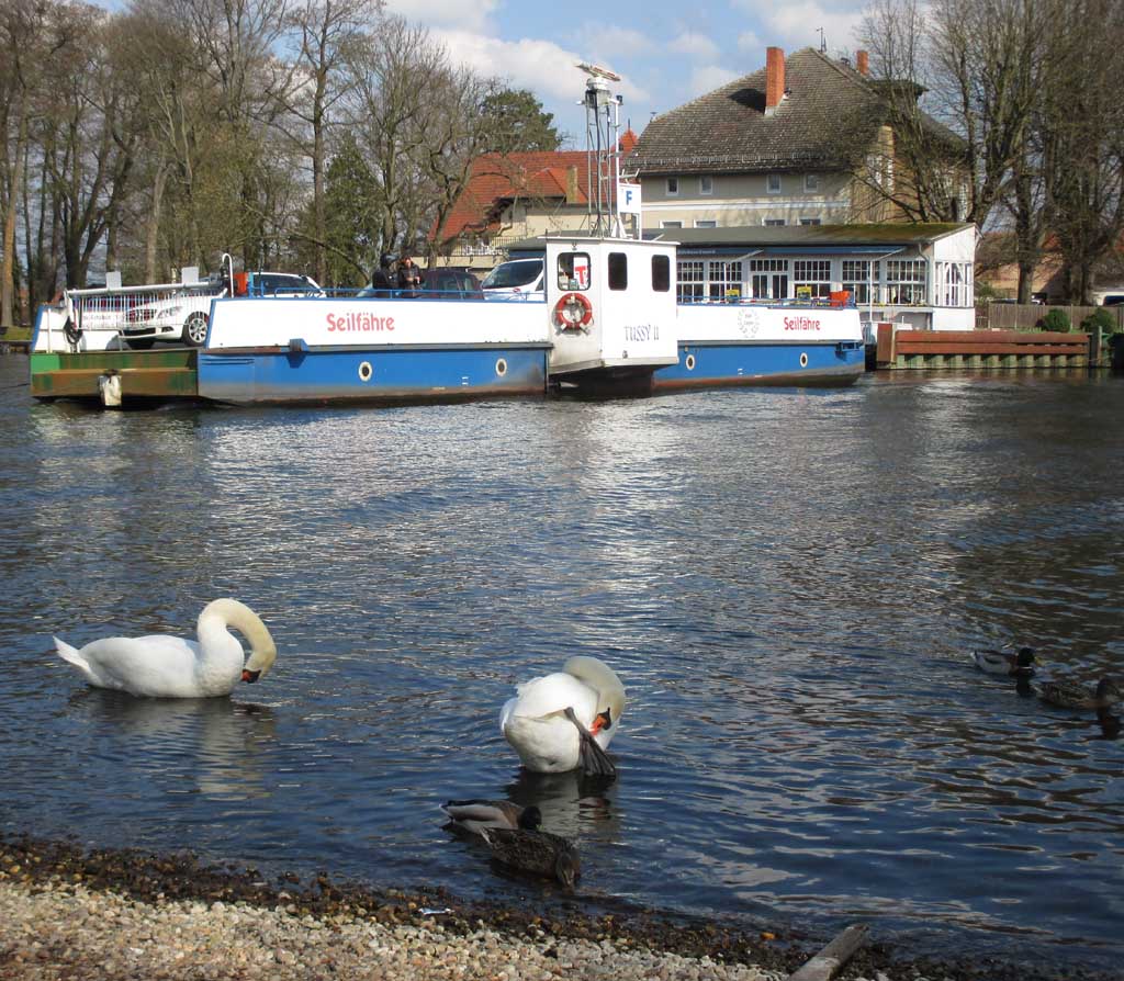 Havelidyll bei Caputh mit Seilfähre Tussy II, Schwänen und Enten.
