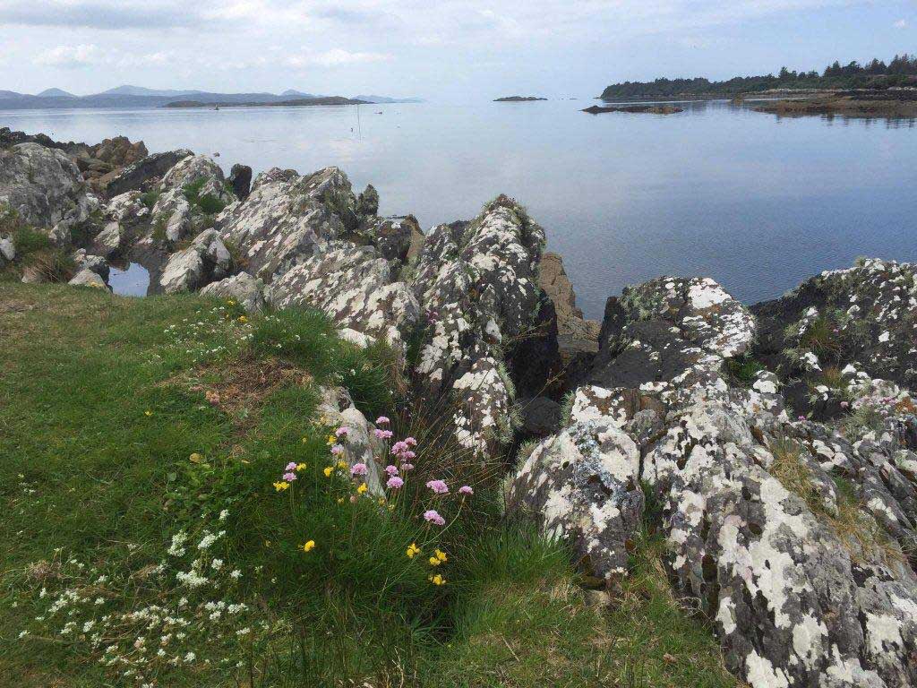 Still ruht der/die See im Parknasilla Resort Sneem.
