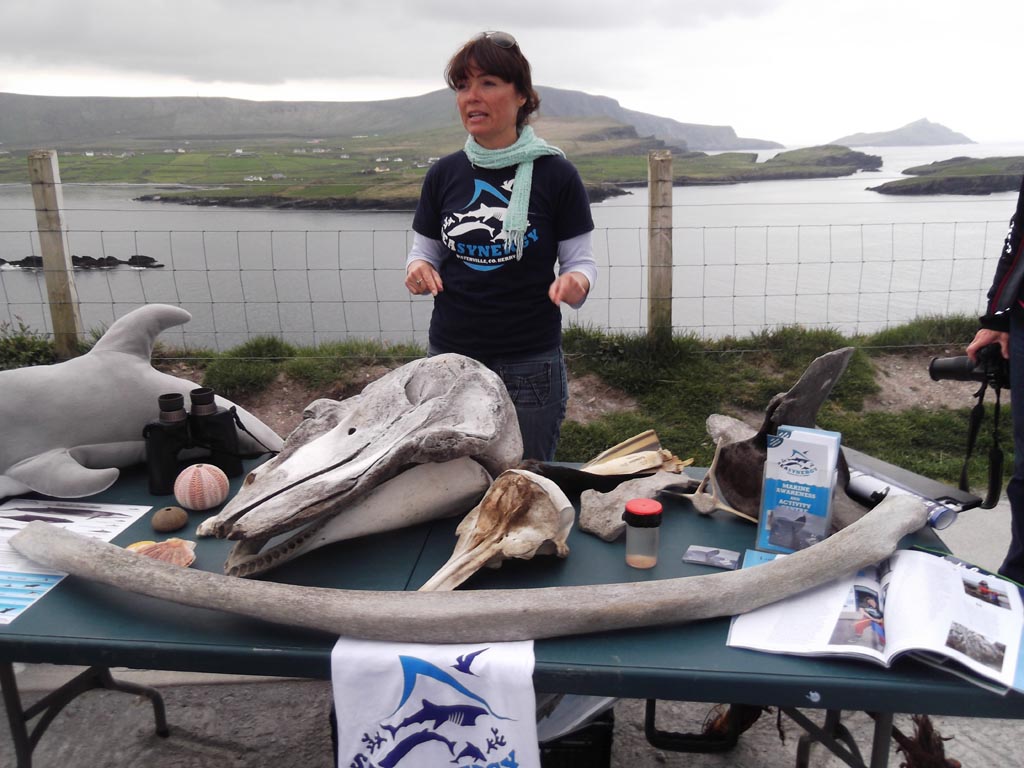 Meeresbiologin Lucy Hunt von SeaSynergy Waterville mit Funden von Meeresbewohnern. 