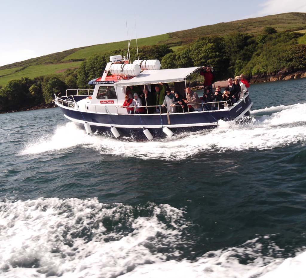 Mit dem Charterboot aus der Bucht Dingle Bay hinaus aufs Meer - wenigstens ein Stück!
