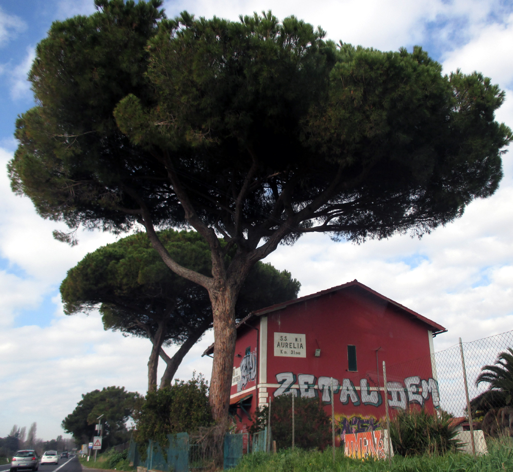 Auf der Via Aurelia, einer der alten Römerstraßen, die in diesem Fall bis Pisa führt.