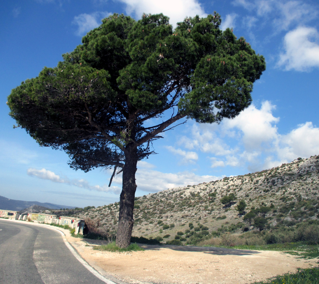 Die Karstlandschaft mit kaum Vegetation ist typisch für gebirgigere Regionen.