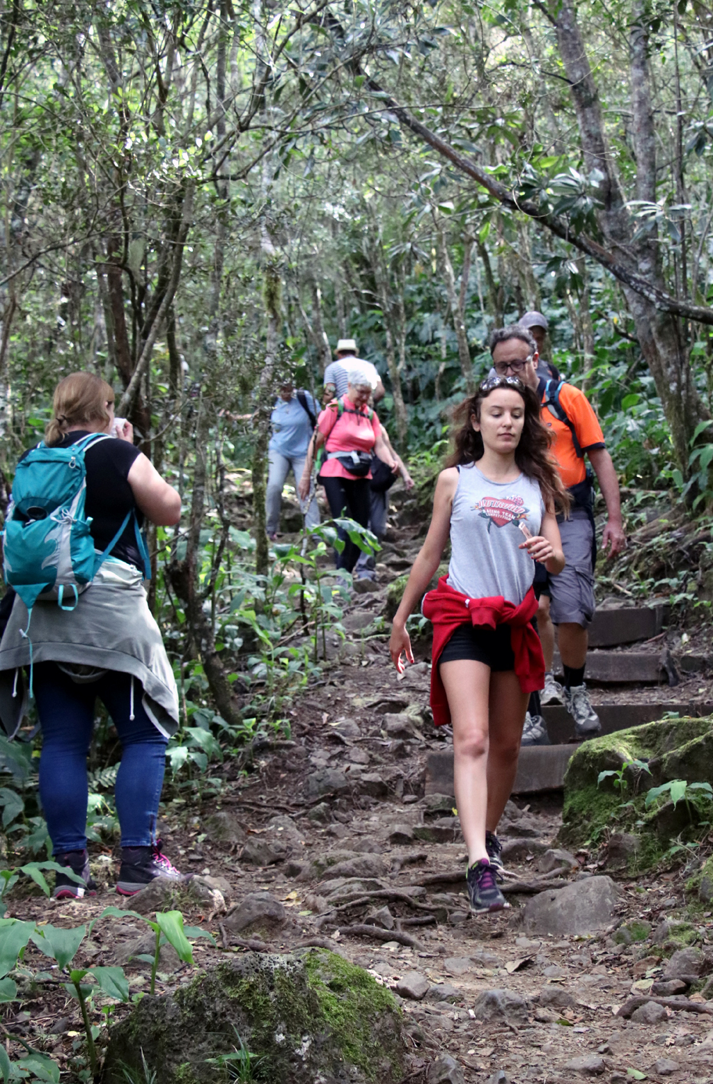 Ein üppiges Netz an ausgebauten Wegen macht La Réunion zu einem Paradies für Wanderer.