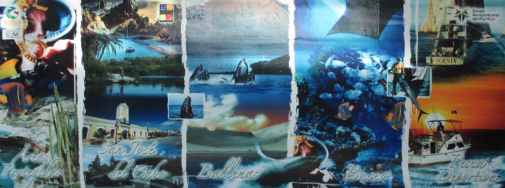 Gesehen im Flughafen Los Cabos I: Baja-California-Sur-Bildermosaik. Fotos: Koch