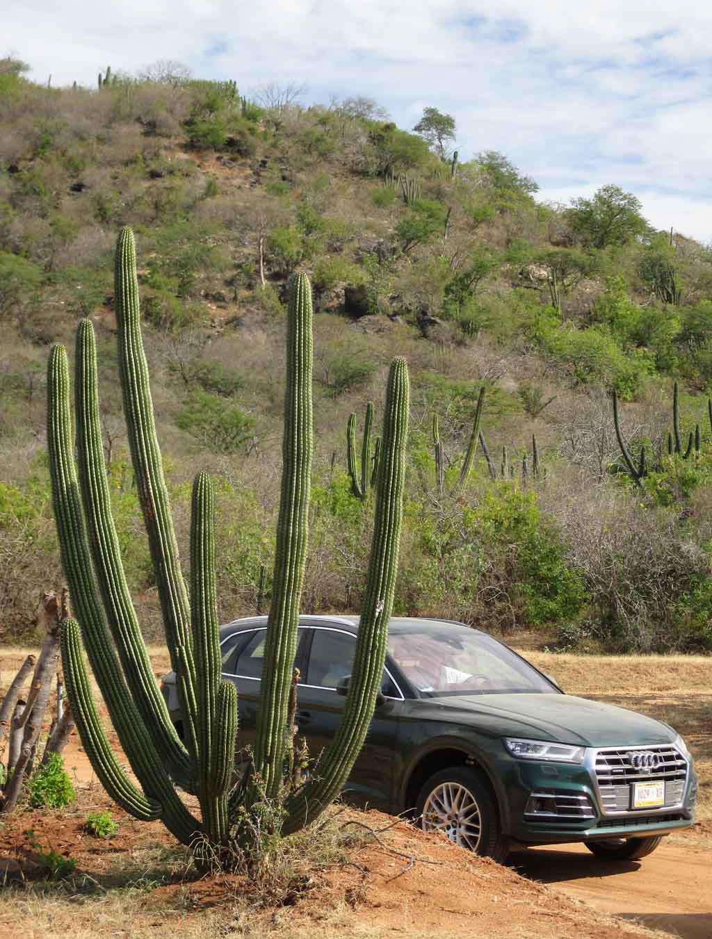 Audis neuer Q5 bei der Fahrvorstellung im Süden der Baja California Sur.