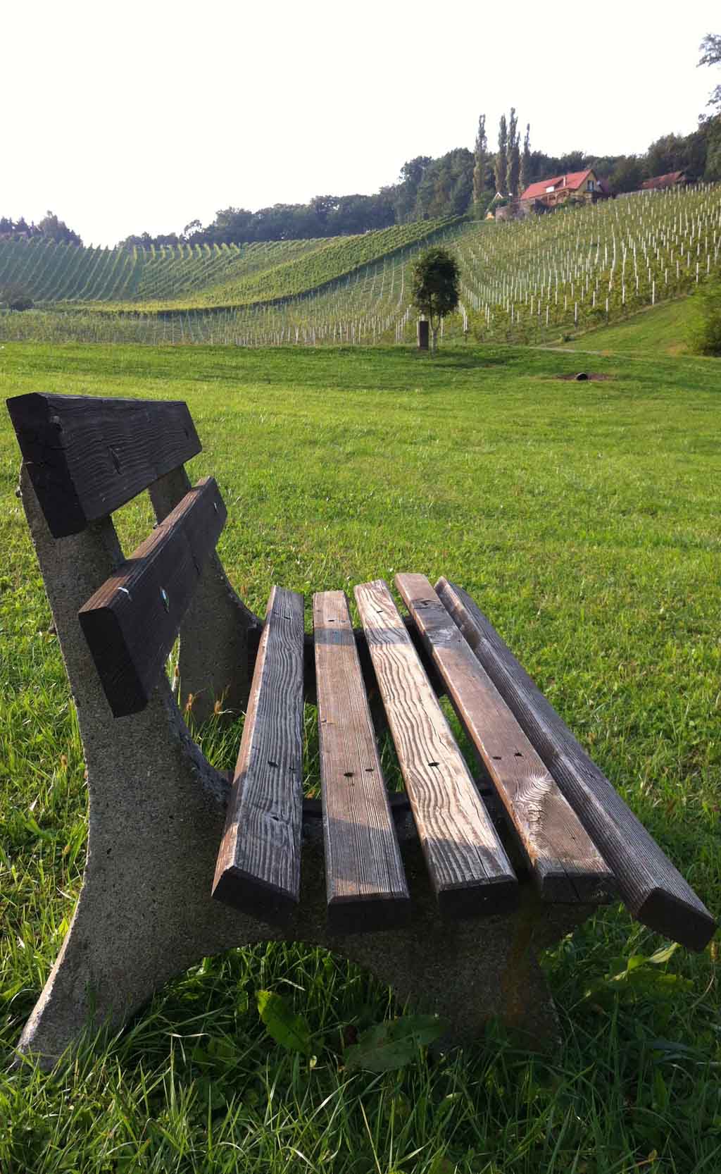 Nicht mehr weit bis zur Grenze: In den Weinbergen bei Spielfeld.