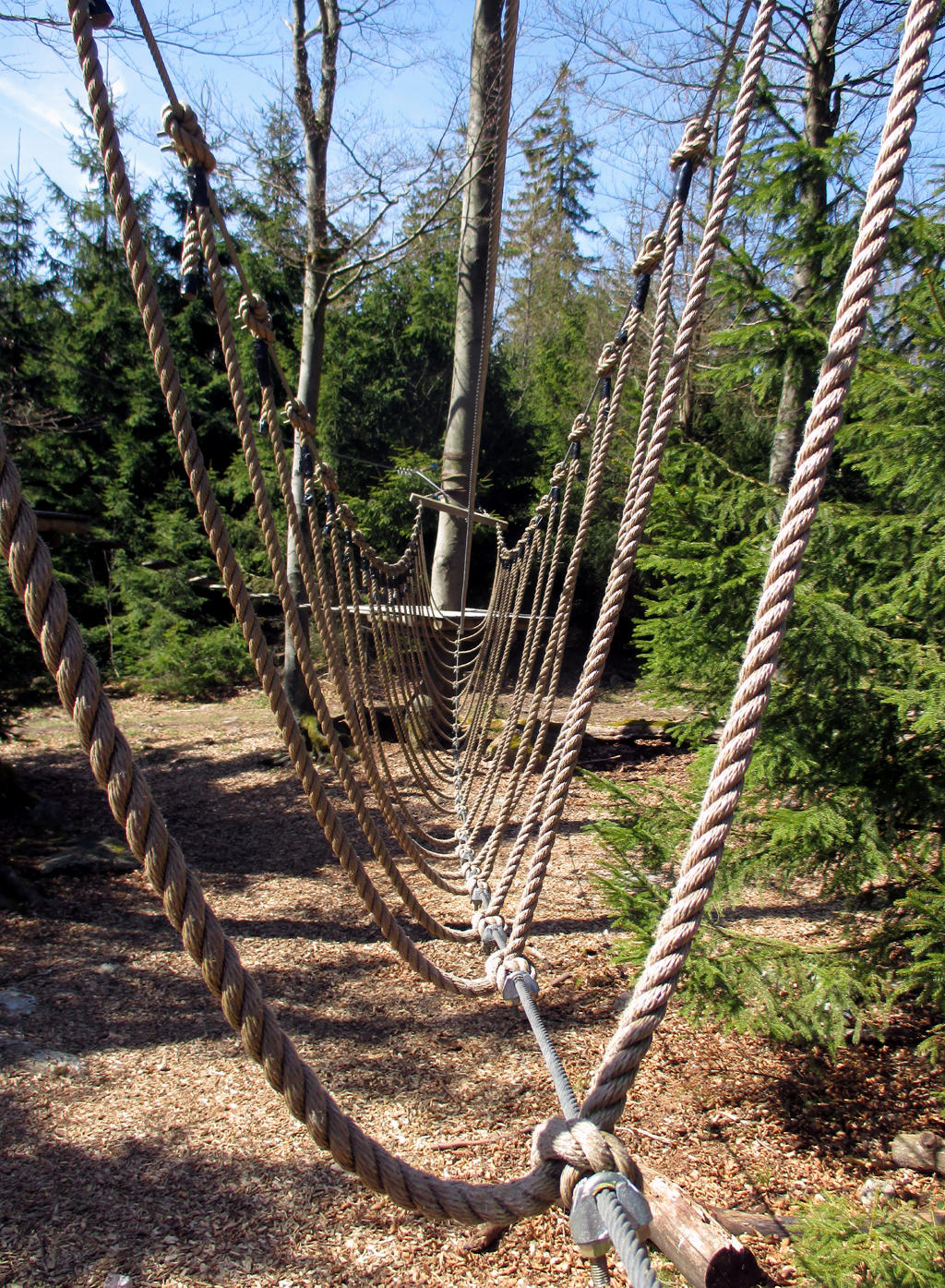 Wer will, kann im Kletterpark Hallgartener Zange was erleben.