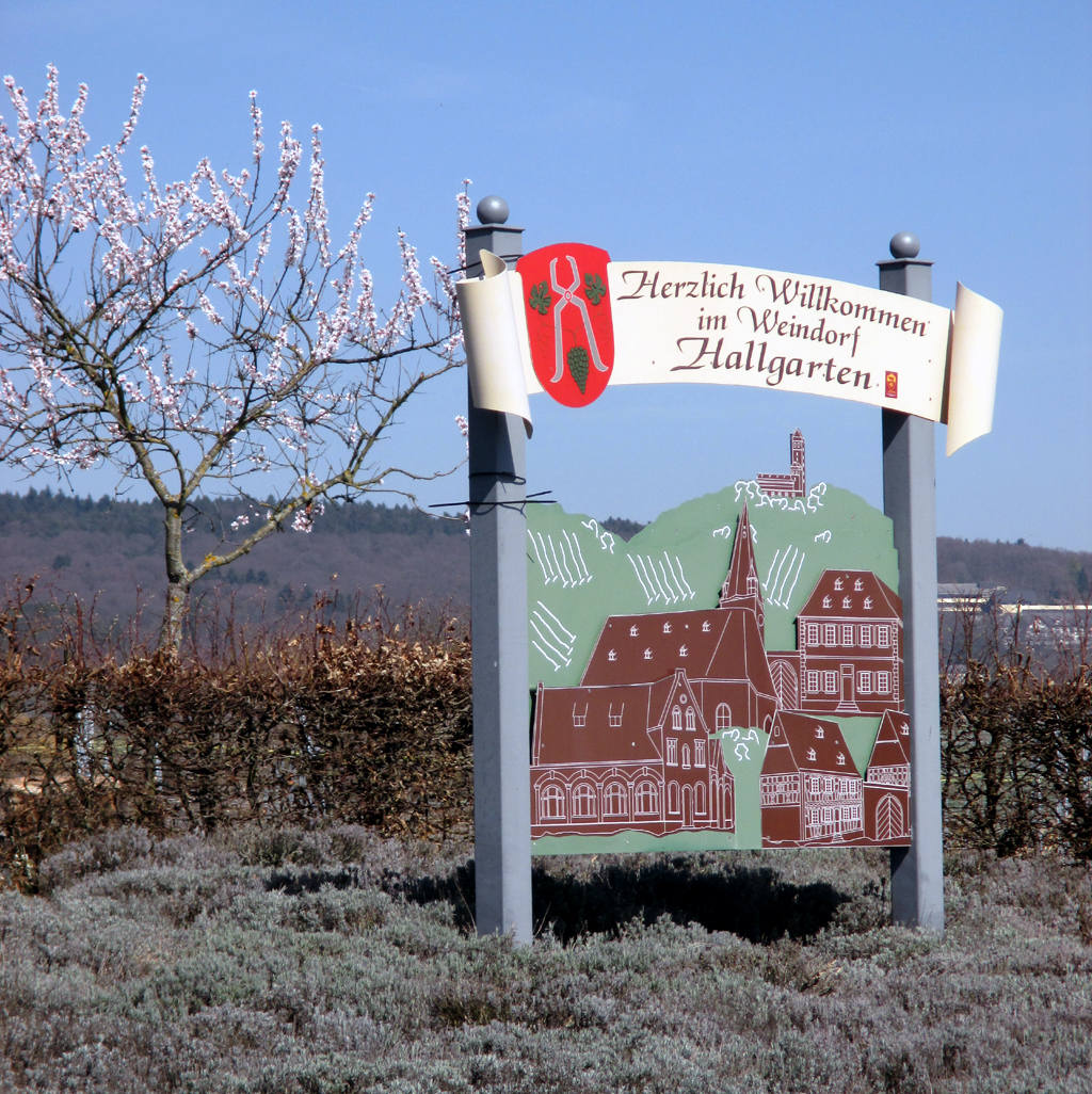 Wie so viele im Rheingau ist auch Hallgarten ein hübsches Weindorf.