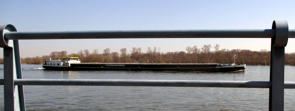 Auf dem Rhein sind viele Frachtschiffe unterwegs.