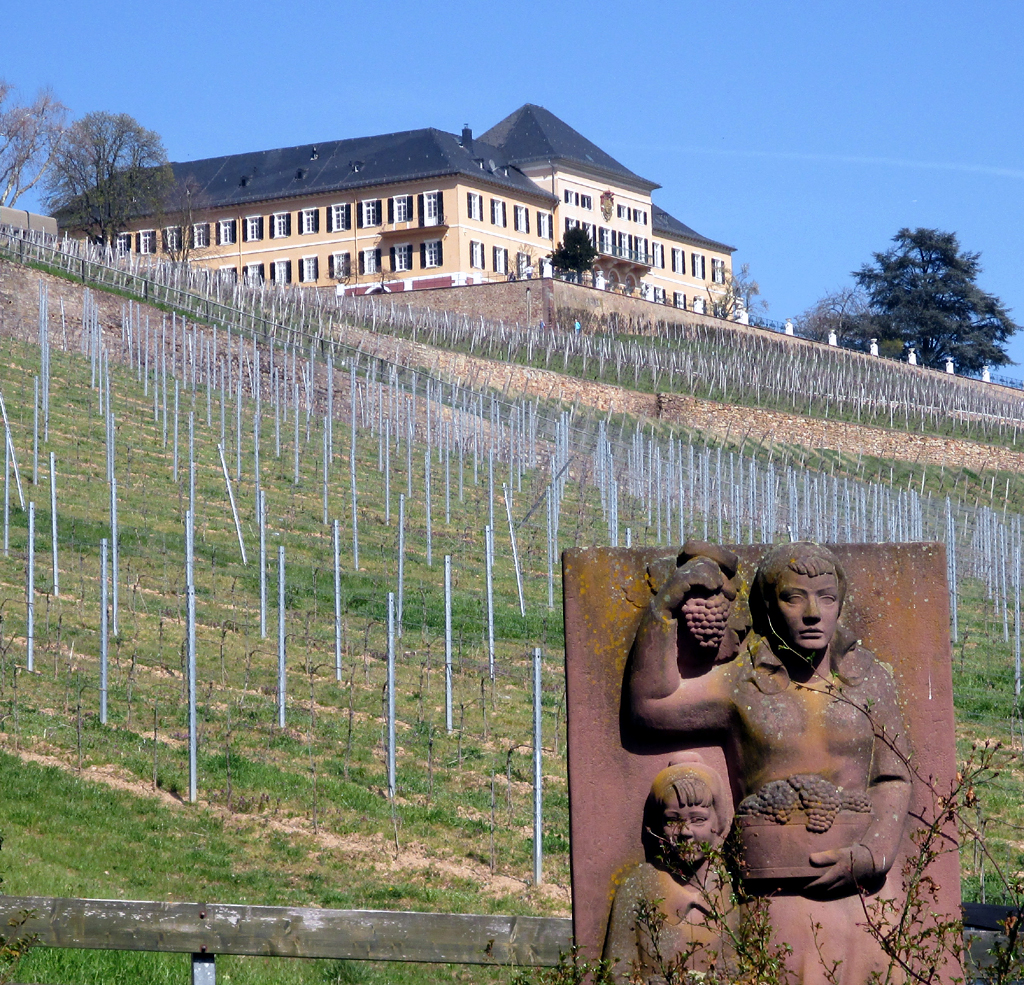 Schloss Johannisberg zählt zu einem der ältesten Weingüter der Welt.