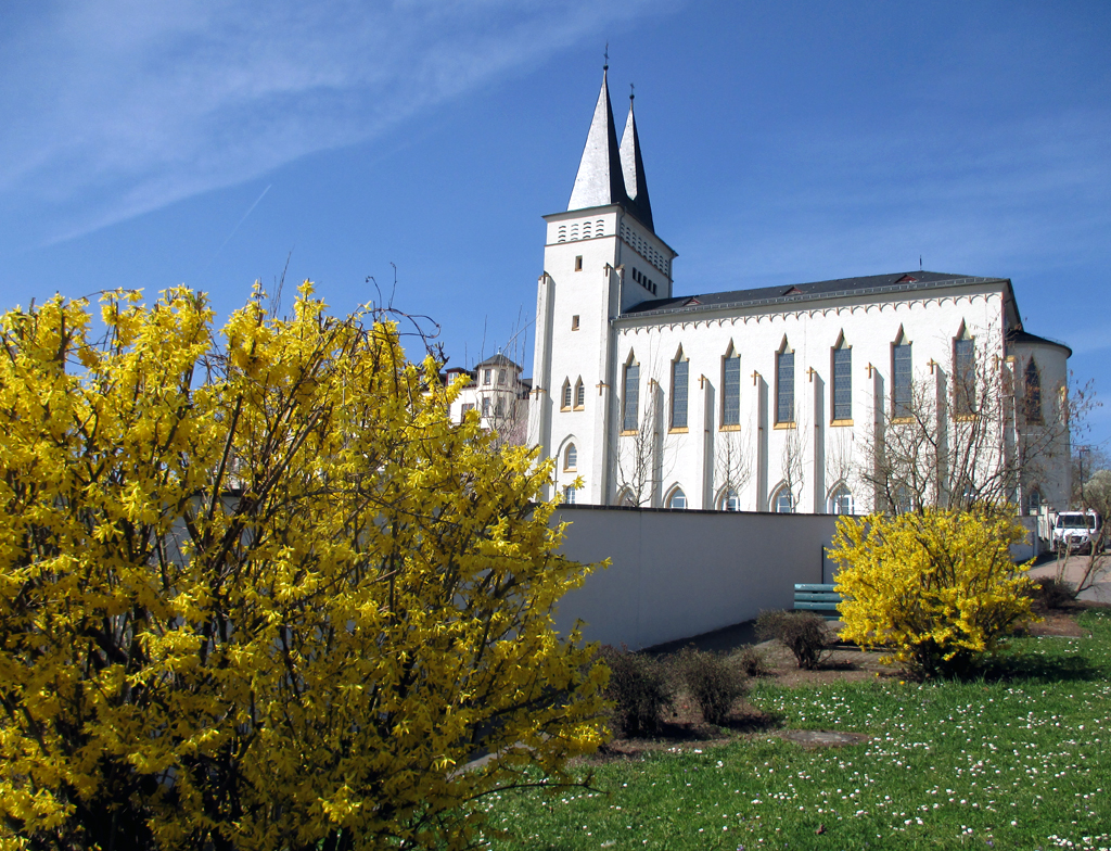 Prächtige Blütenpracht vor Kloster Johannisberg.