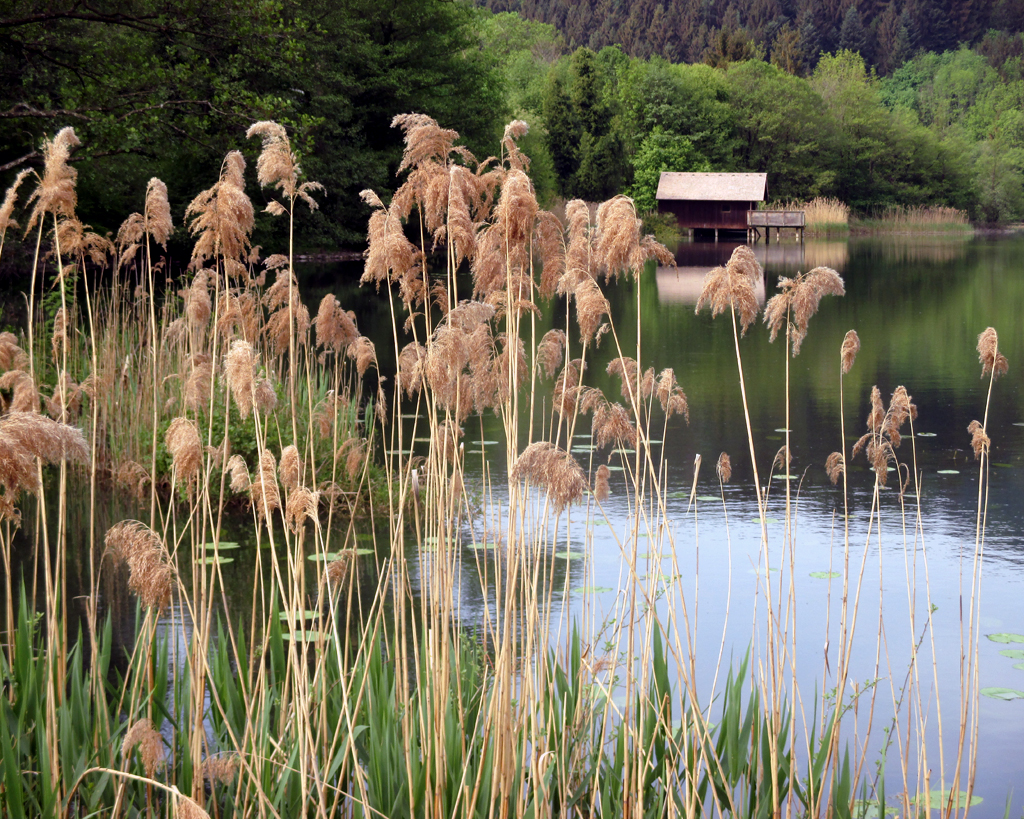 Der idyllische Klostersee liegt gleich daneben ...