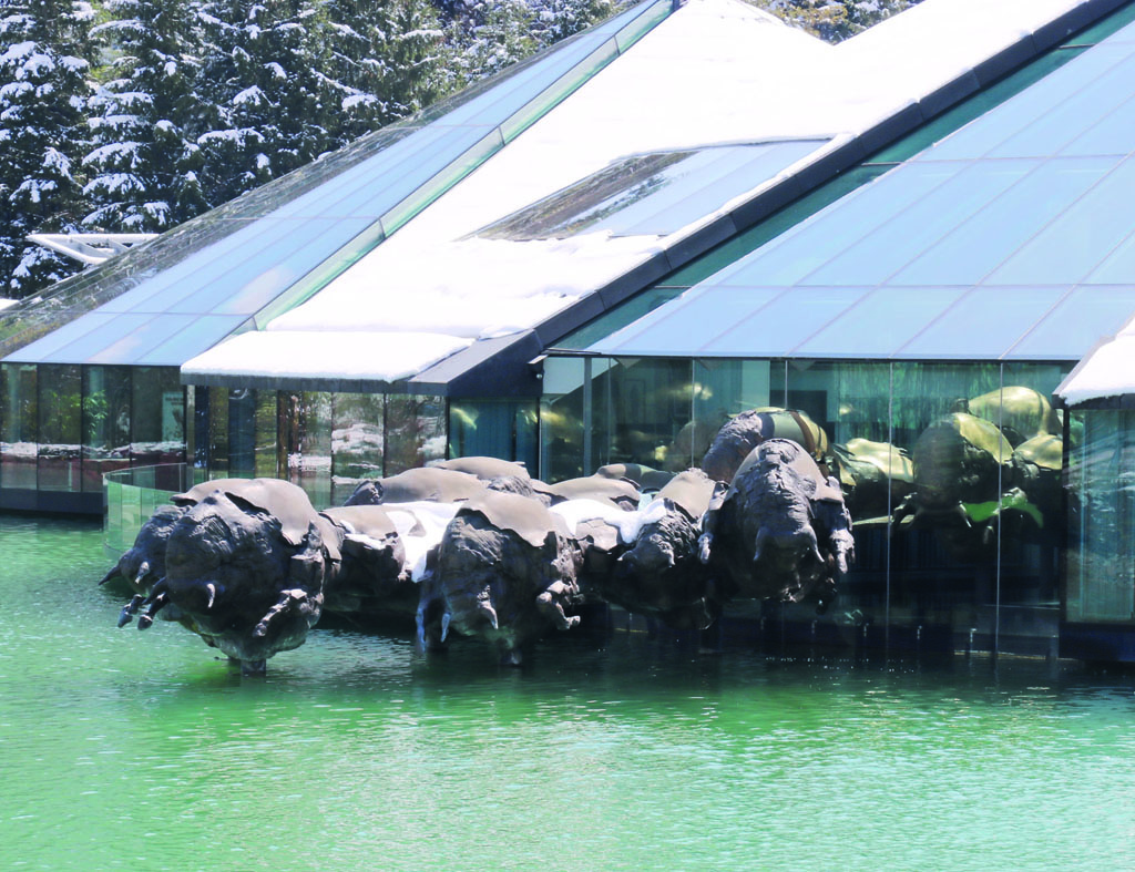 Sogar die Bullen des Mateschitz-Brausekonzerns springen im Salzkammergut in die Fluten.