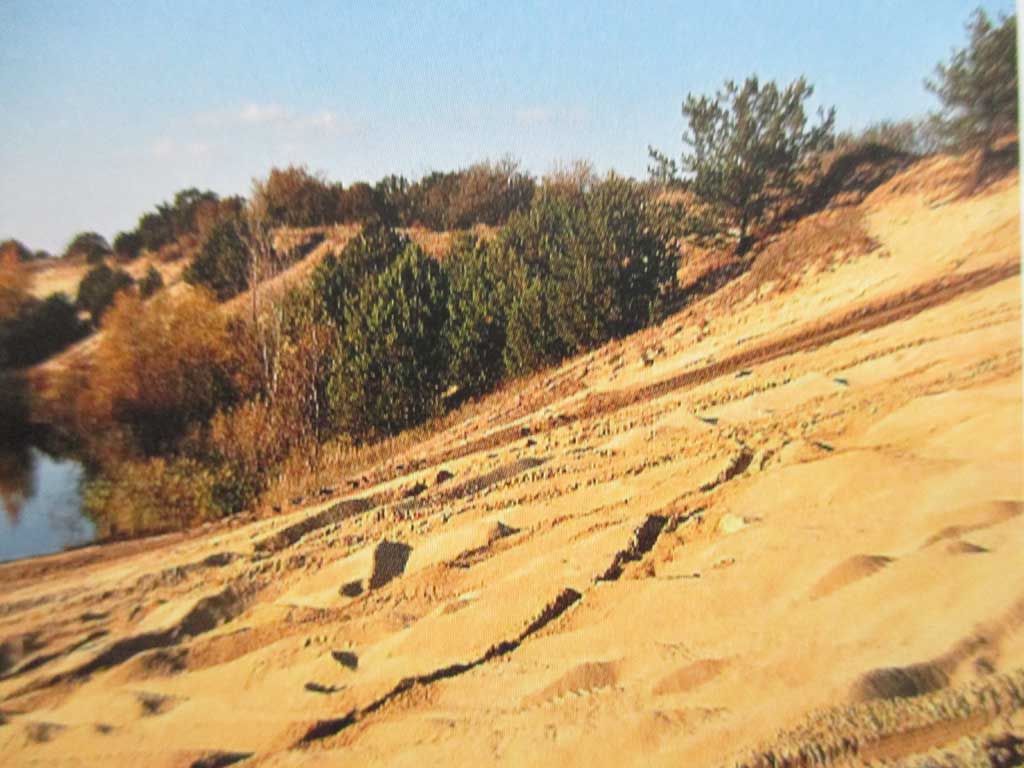 Sogar Dünen bringt die sandige Gegend um Malacky hervor. Fotos: Koch 