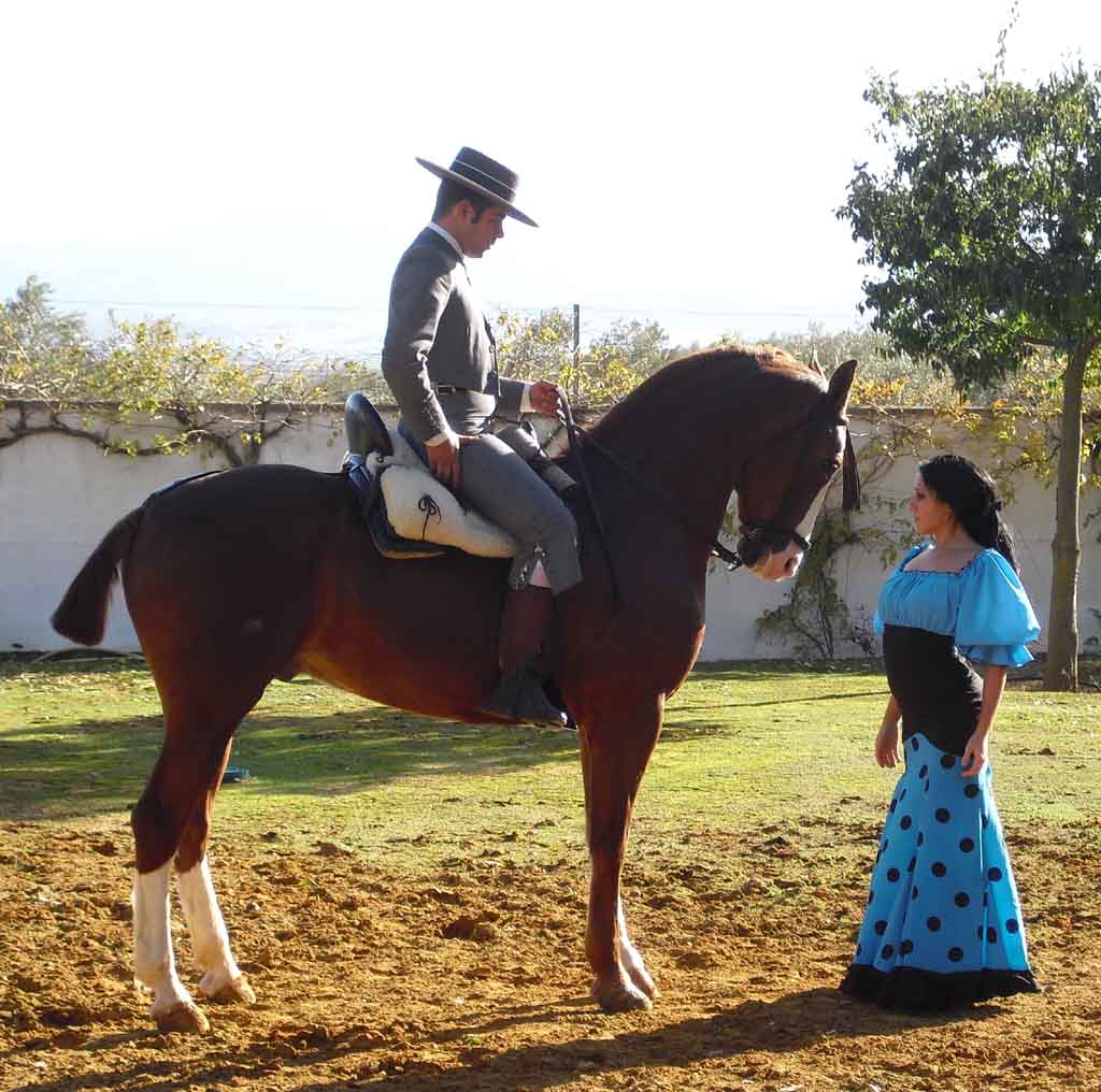 Typisch Andalusien: Edles Pferd, stolzer Reiter, rassige Tänzerin. Foto: Koch