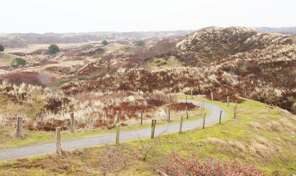 Das geschützte Dünengebiet der Insel ist von Wanderwegen umsäumt. Fotos: Sohnemann