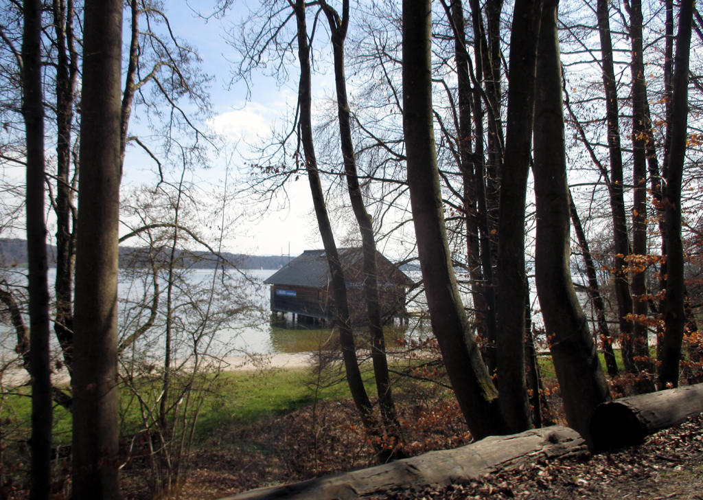 Von der Straße aus verdeckt hinter Bäumen im See: Bootshaus der DLRG.