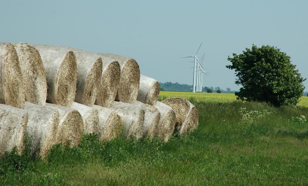 Strohballen, Windkrafträder, landwirtschaftliche Flächen: Südschweden ist ländlich geprägt.