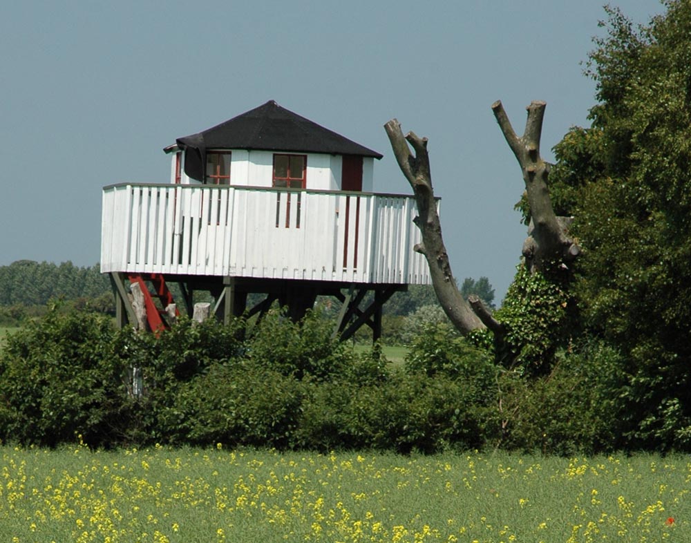 Auf Stelzen gebaut: „Hochhaus“ in südschwedischem Garten.