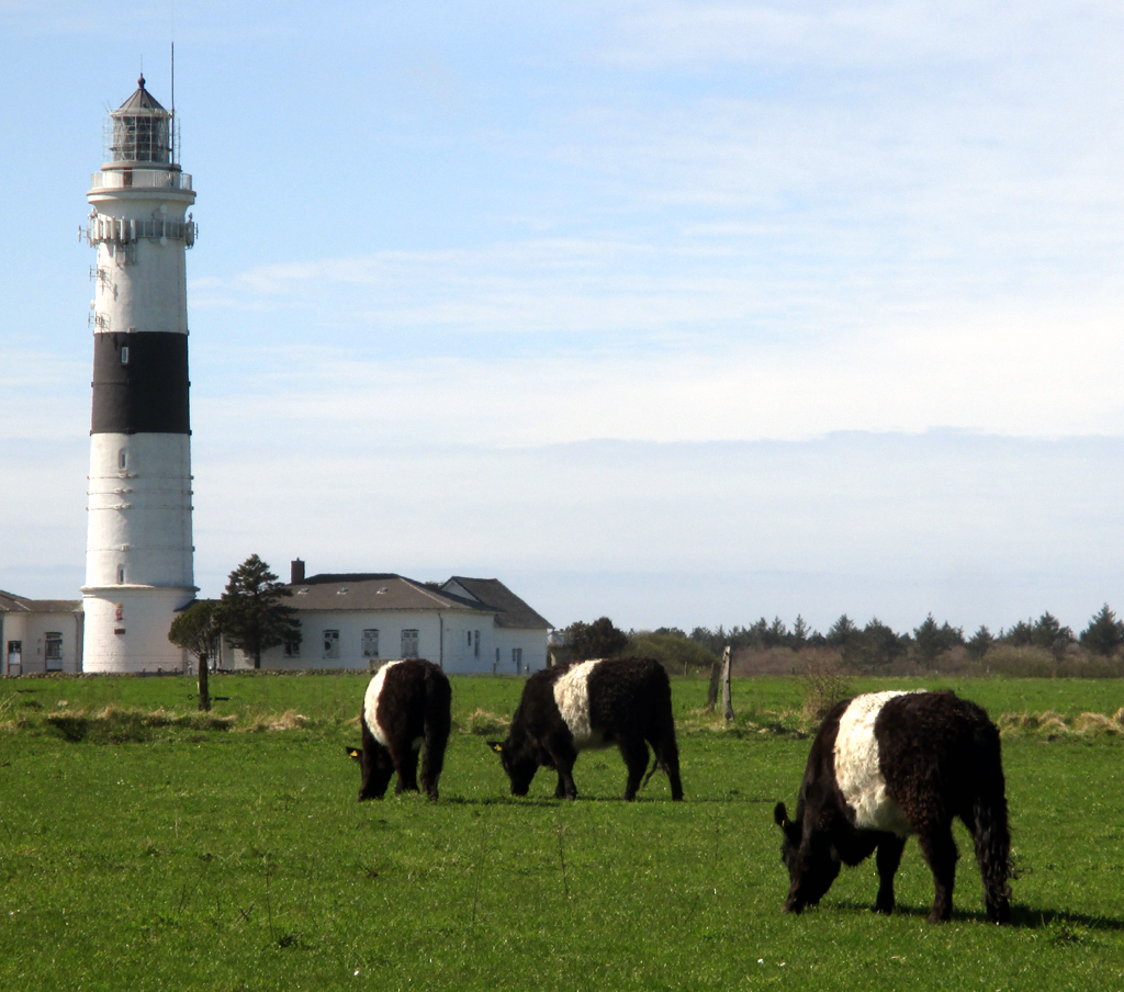 Leuchtturm bei Keitum.